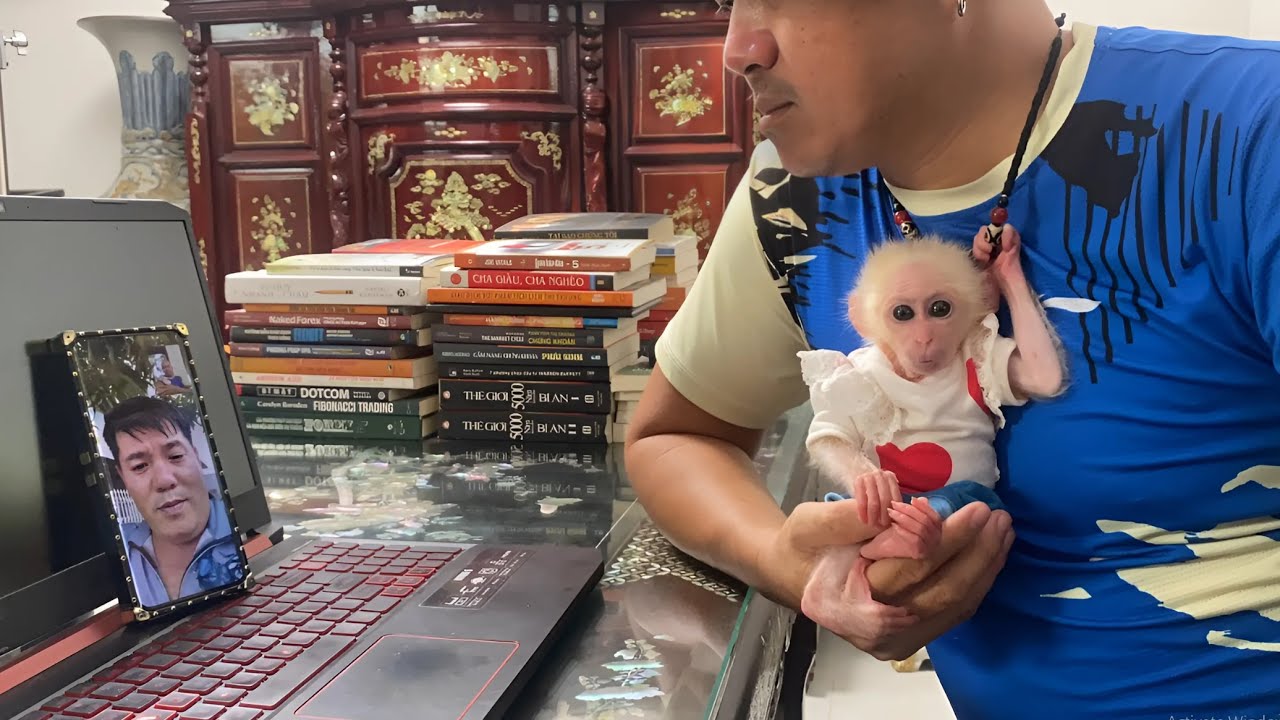 Monkey Luk receives attentive take care of dad & mysterious phone call