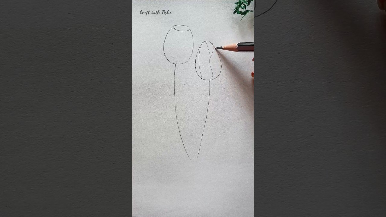 Tulip Flower Drawing🌷 #art #drawing #shorts
