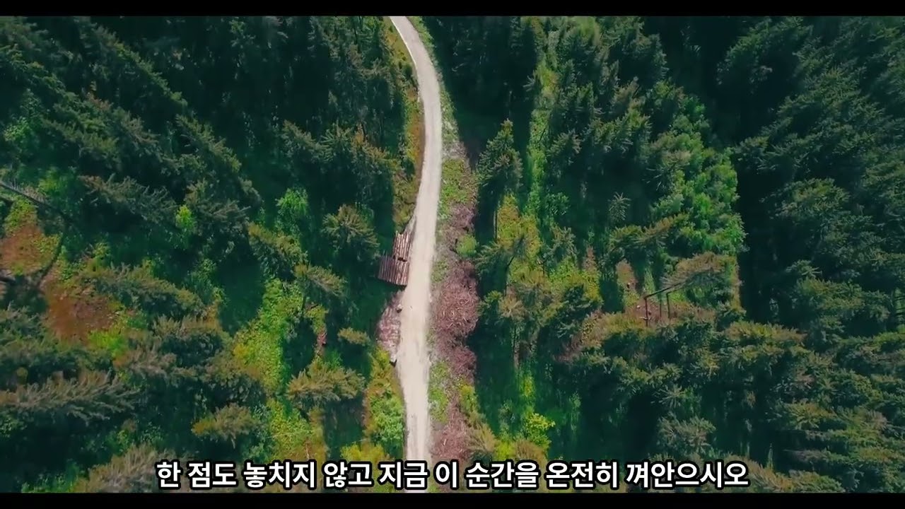 껍데기를 벗고진짜로 산다는 것