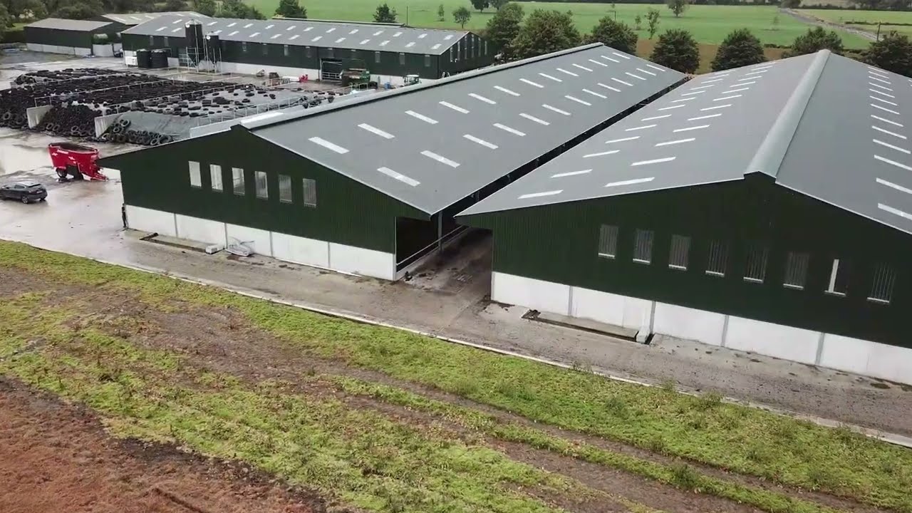 Cubicle shed with 400 spaces - Dairy farming Solutions