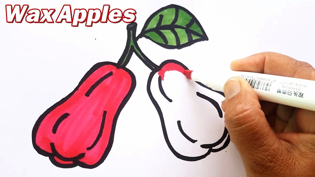 How to Draw Wax Apples Step by Step for Kids &ndash; Fruits Coloring and Drawing easy Tutorial