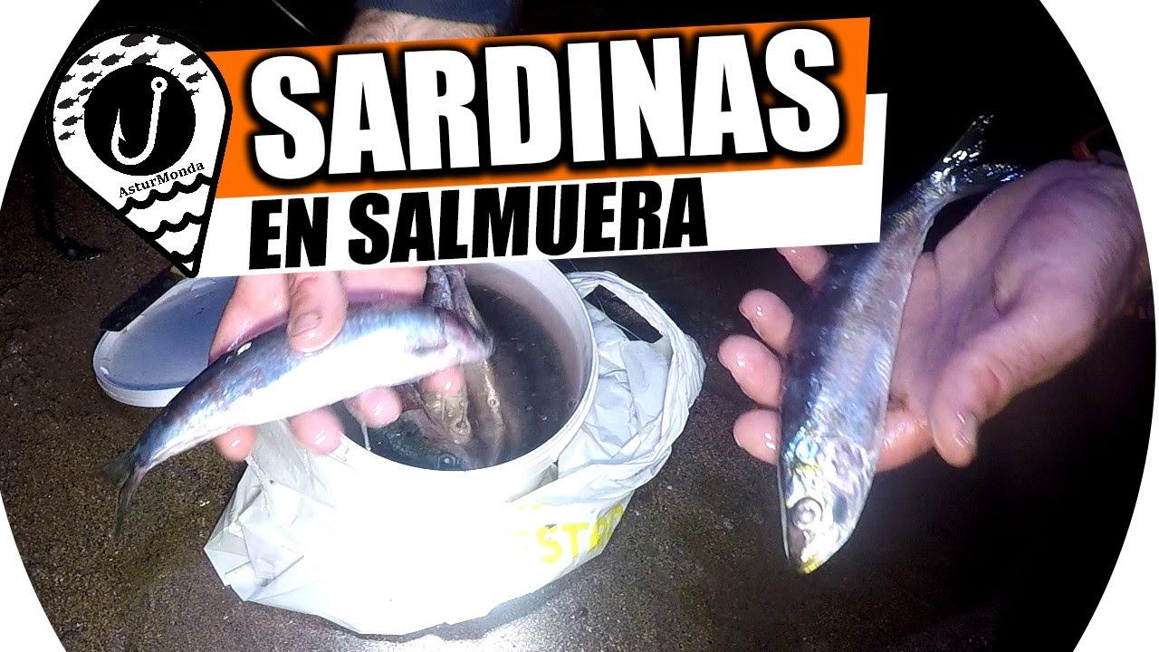 SARDINA EN SALMUERA