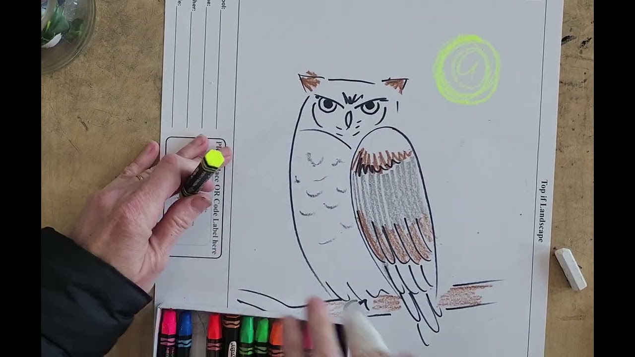 Conrad's Class Owl Colors
