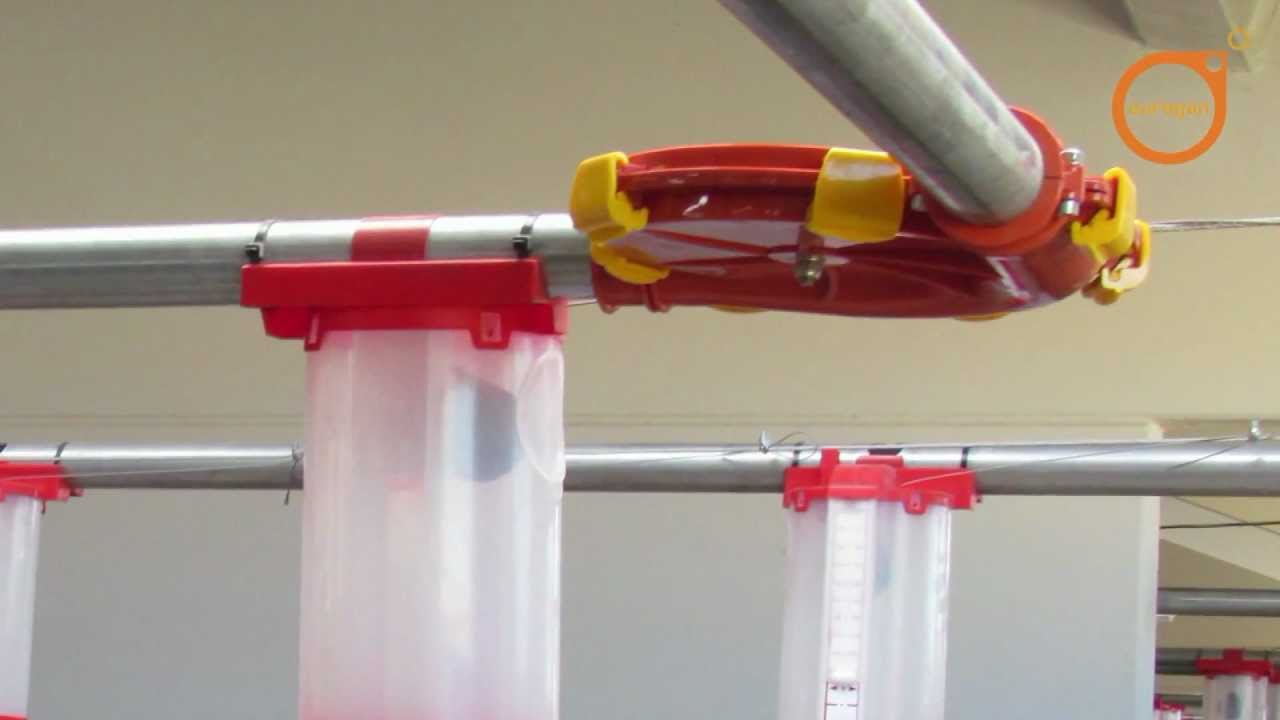 Alimentación granjas por sistema de cadena EUROGAN / Chain feeding system EUROGAN