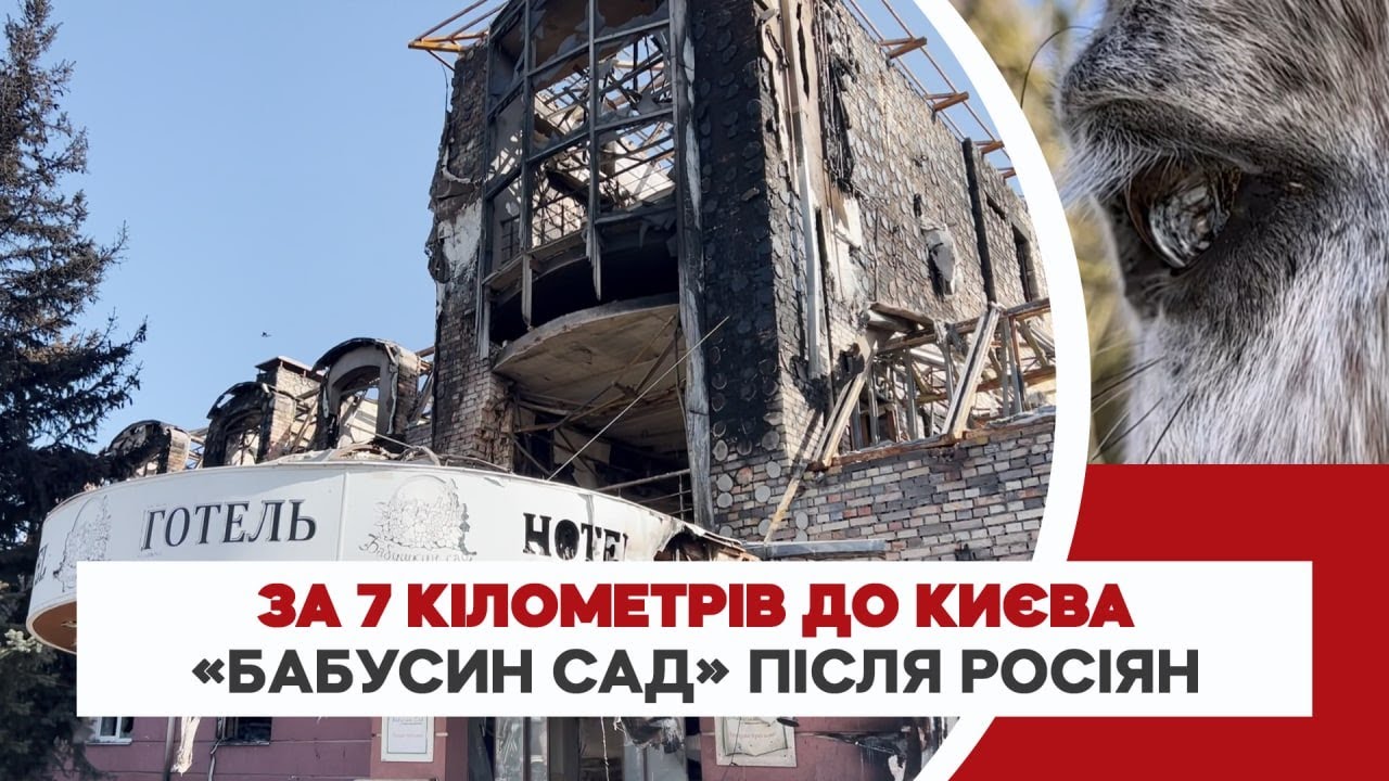 Мертві коні, рештки танків та окупантів: «Бабусин сад» біля Житомирської траси після «асвабадітєлєй»