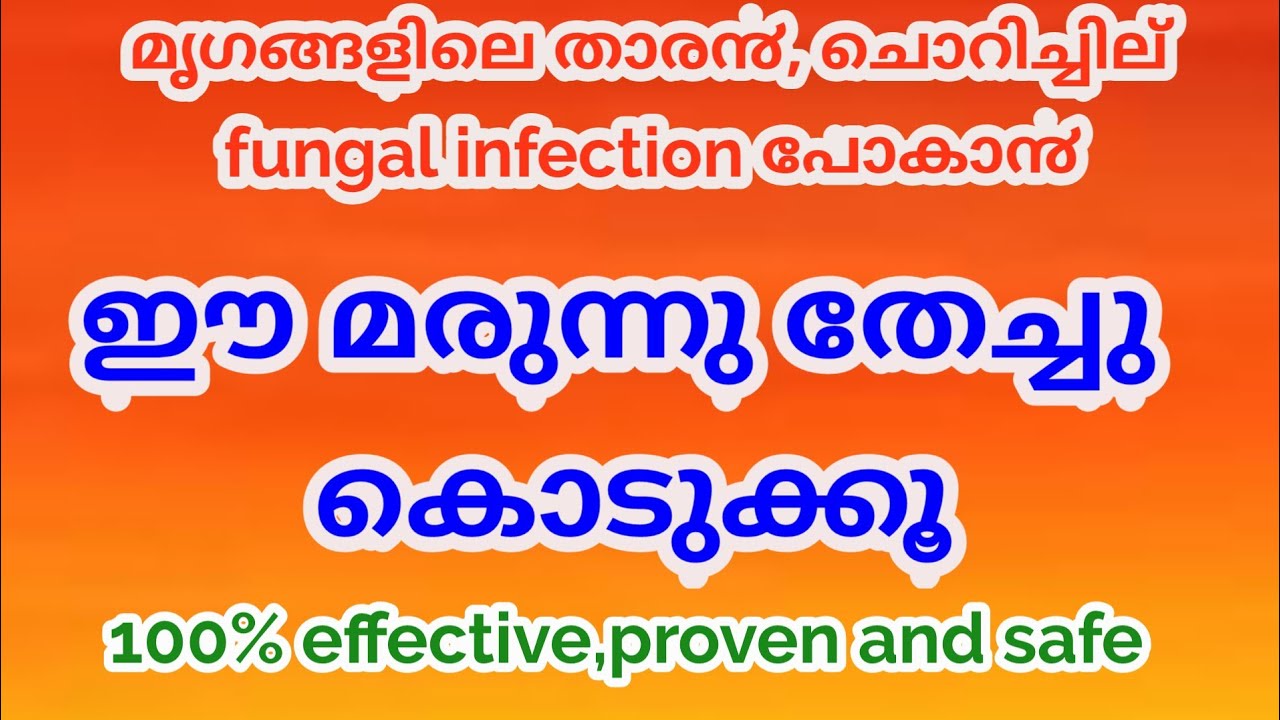 cheapest remedy for skin problems in animals||മൃഗങ്ങളിലെ താര൯, ചൊറിച്ചില്,fungal infection പോകാ൯