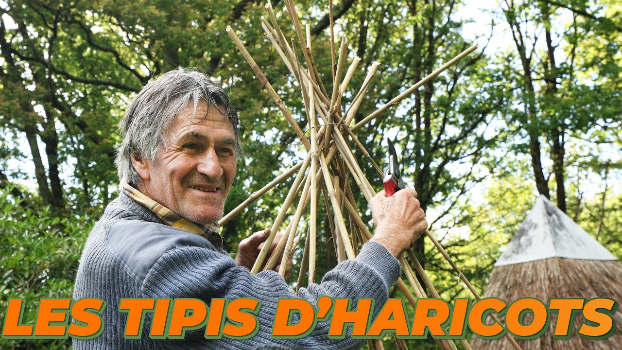 CRÉER SON TIPI D'HARICOT AVEC YVES GILLEN - Au fil des saisons avec Yves Gillen 👨‍🌾