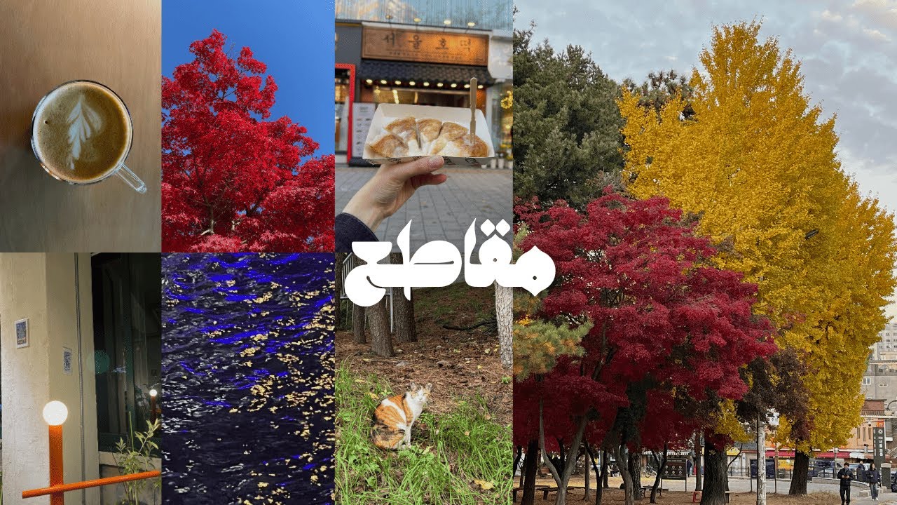 فلوق أيام من أكتوبر و نوفمبر | Seoul Vlog