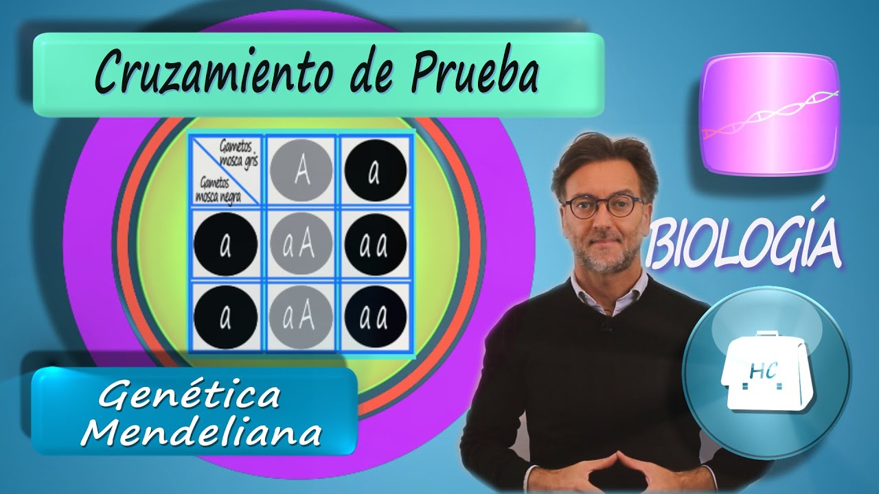 Cruzamiento de Prueba (Retrocruzamiento)