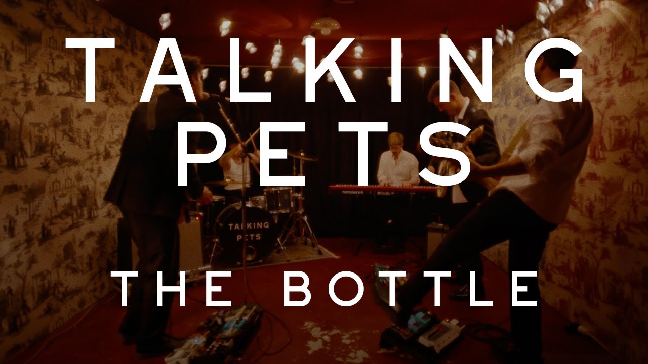 TALKING PETS - THE BOTTLE (Official Video)