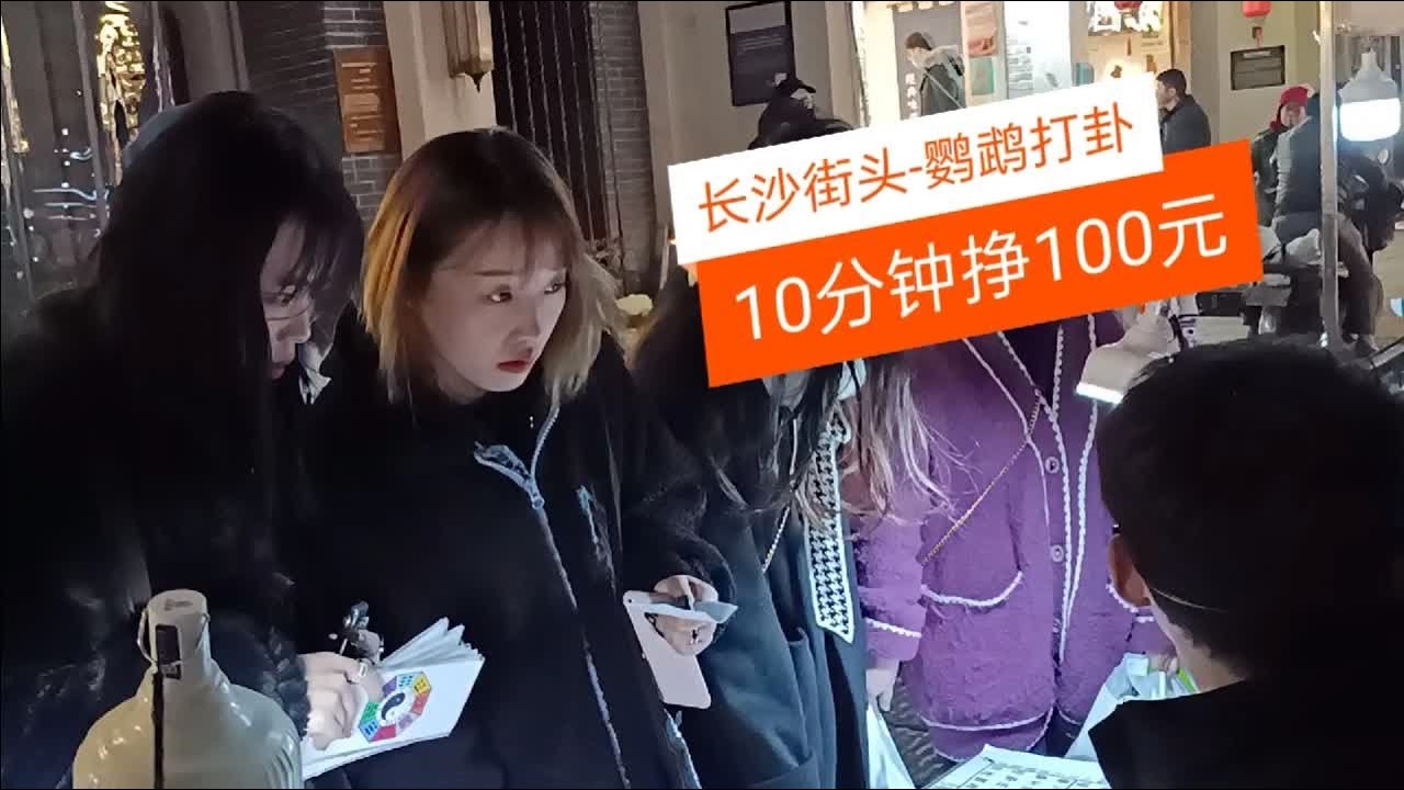 长沙街头怪事多，1奇男子带4只鹦鹉打卦，10分钟轻松挣美女100元