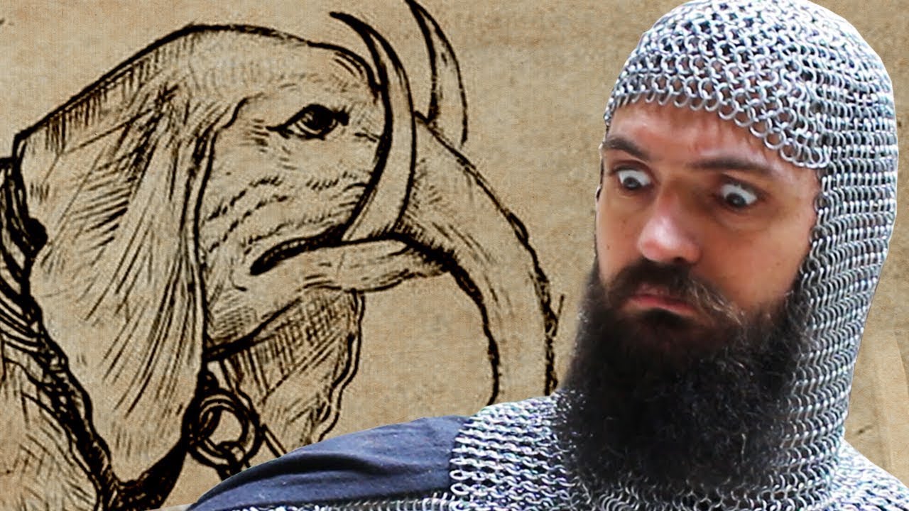 Avez-vous déjà vu un ÉLÉPHANT ? - Image #3