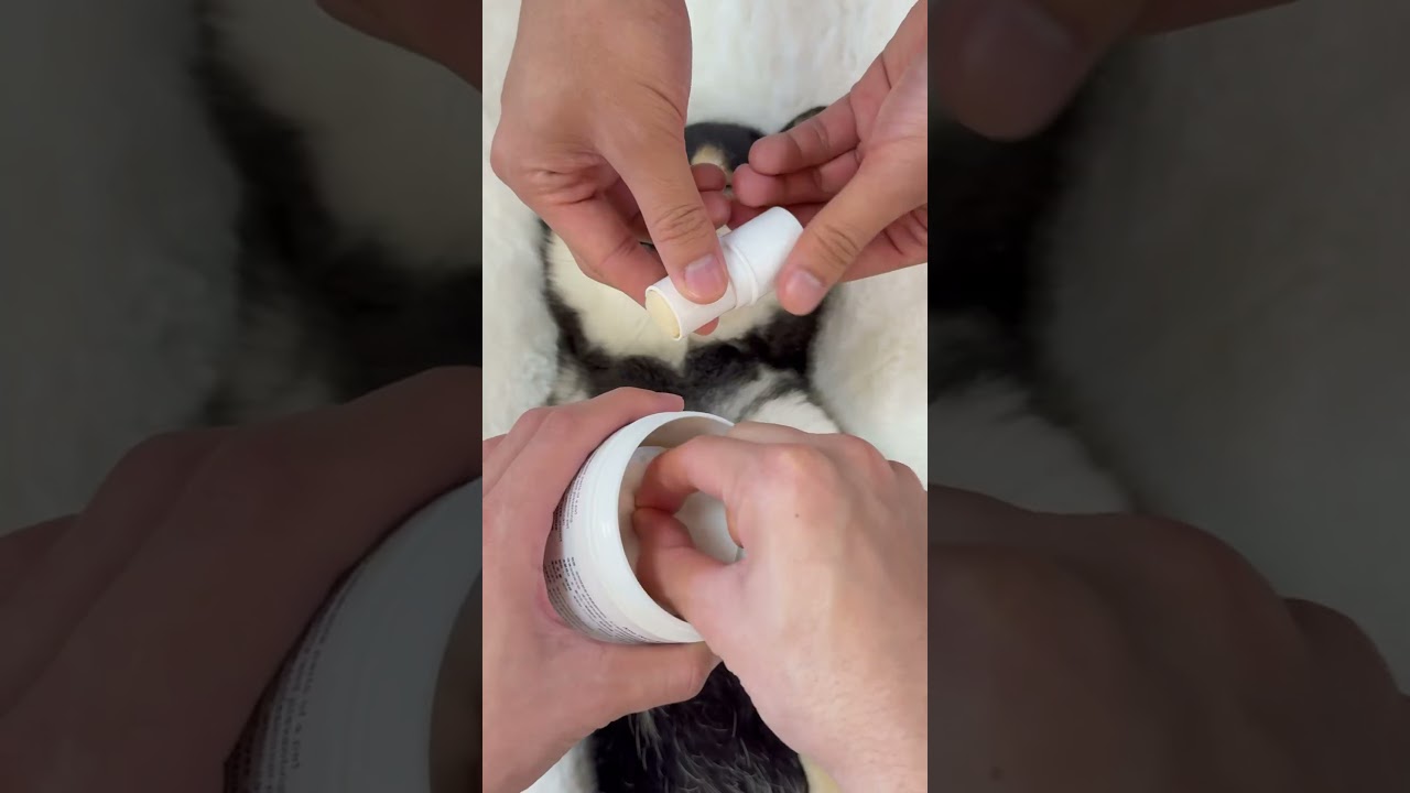 ASMR | 曼玉Manyu沉浸式Spa | 尽情享受颅内舒适和助眠