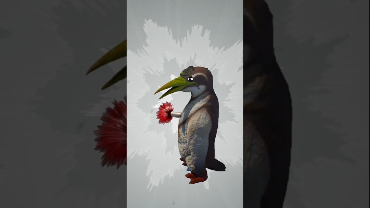 kairuku 🐧