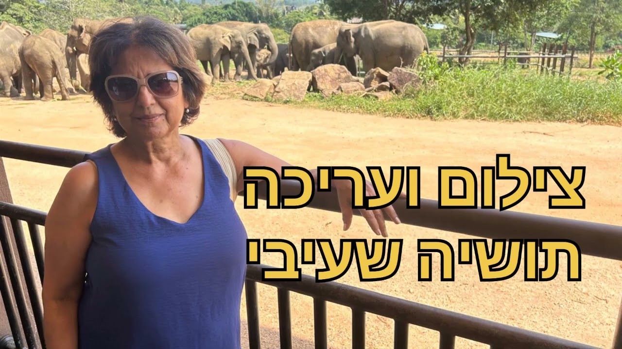 מגזין 301 מרץ 2026 | קבוצת הטלוויזיה הקהילתית 