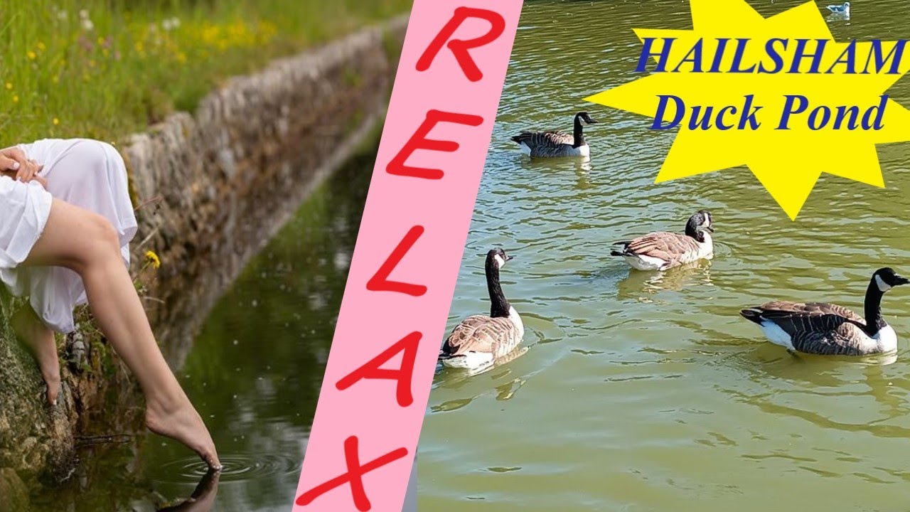 Где Отличное Место Для Отдыха В Хейлшеме? (Восточный Сассекс, Англия)