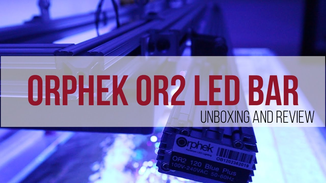 Orphek Or2 Blue Plus | Testing Par Readings