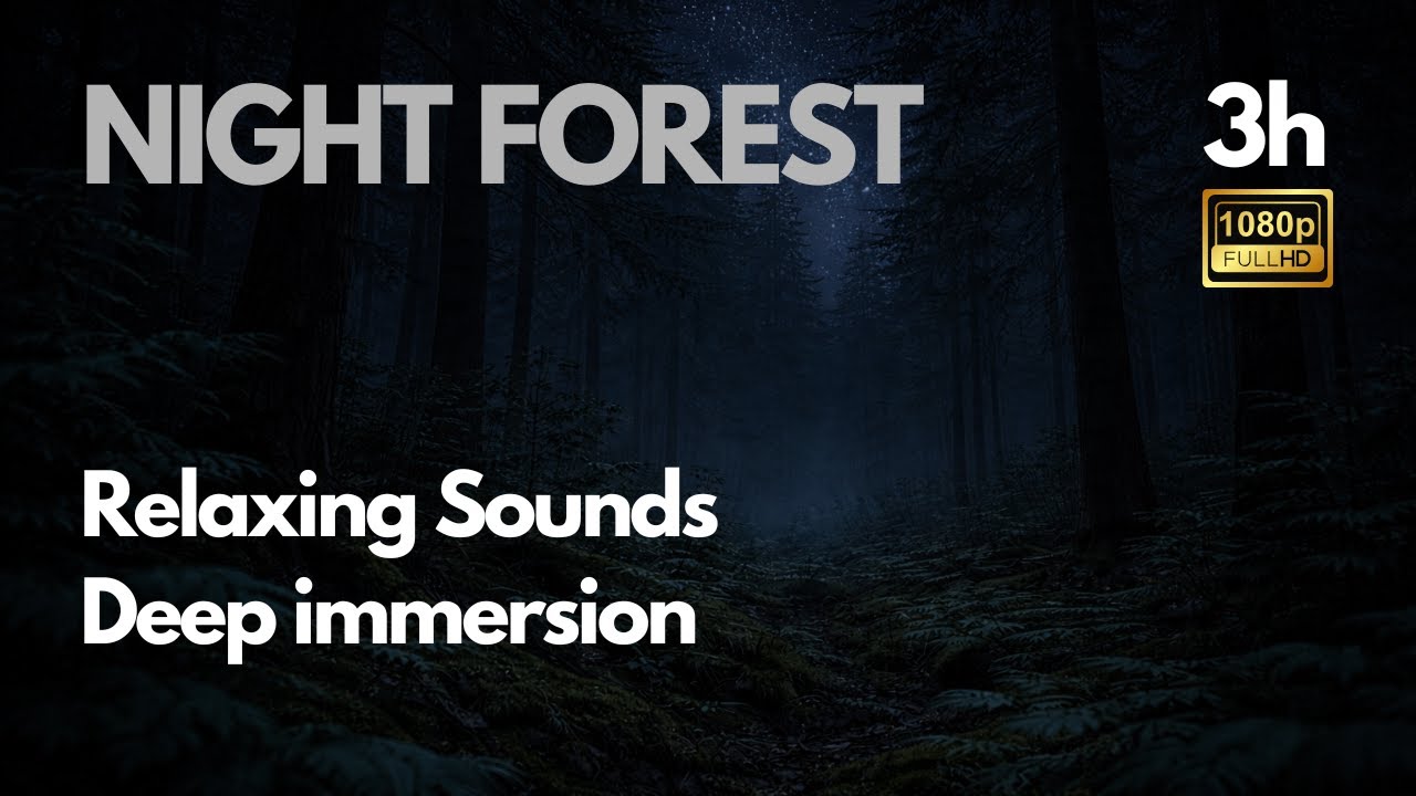 Night Forest, Starry Sky and Calm Night Ambience, Forest Sounds  3 Hours