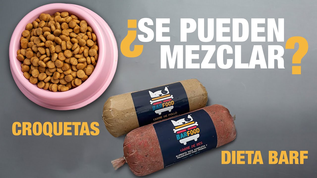 DIETA BARF I &iquest;PODEMOS MEZCLAR LA DIETA BARF CON CROQUETAS? I &iquest;MITO O REALIDAD?