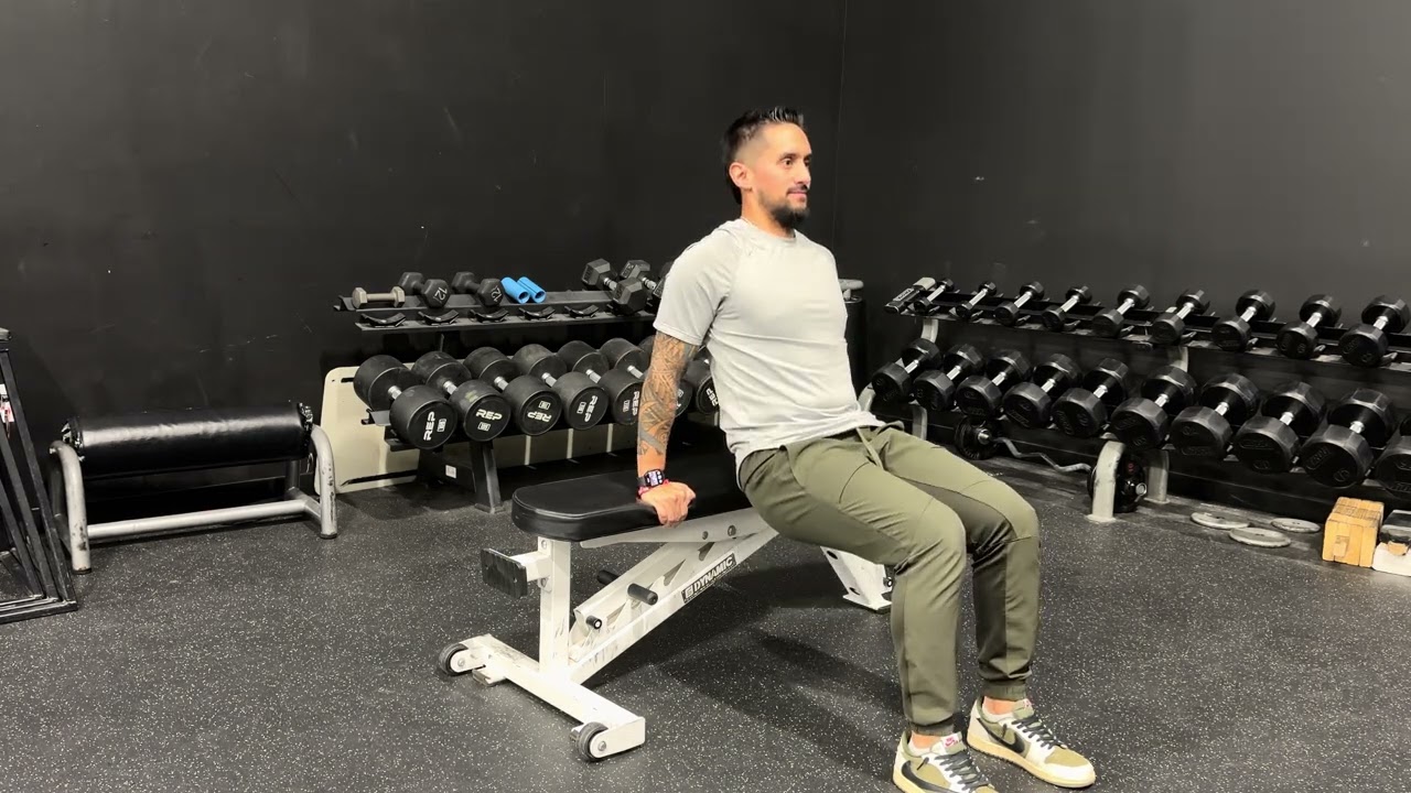 Bench Dips