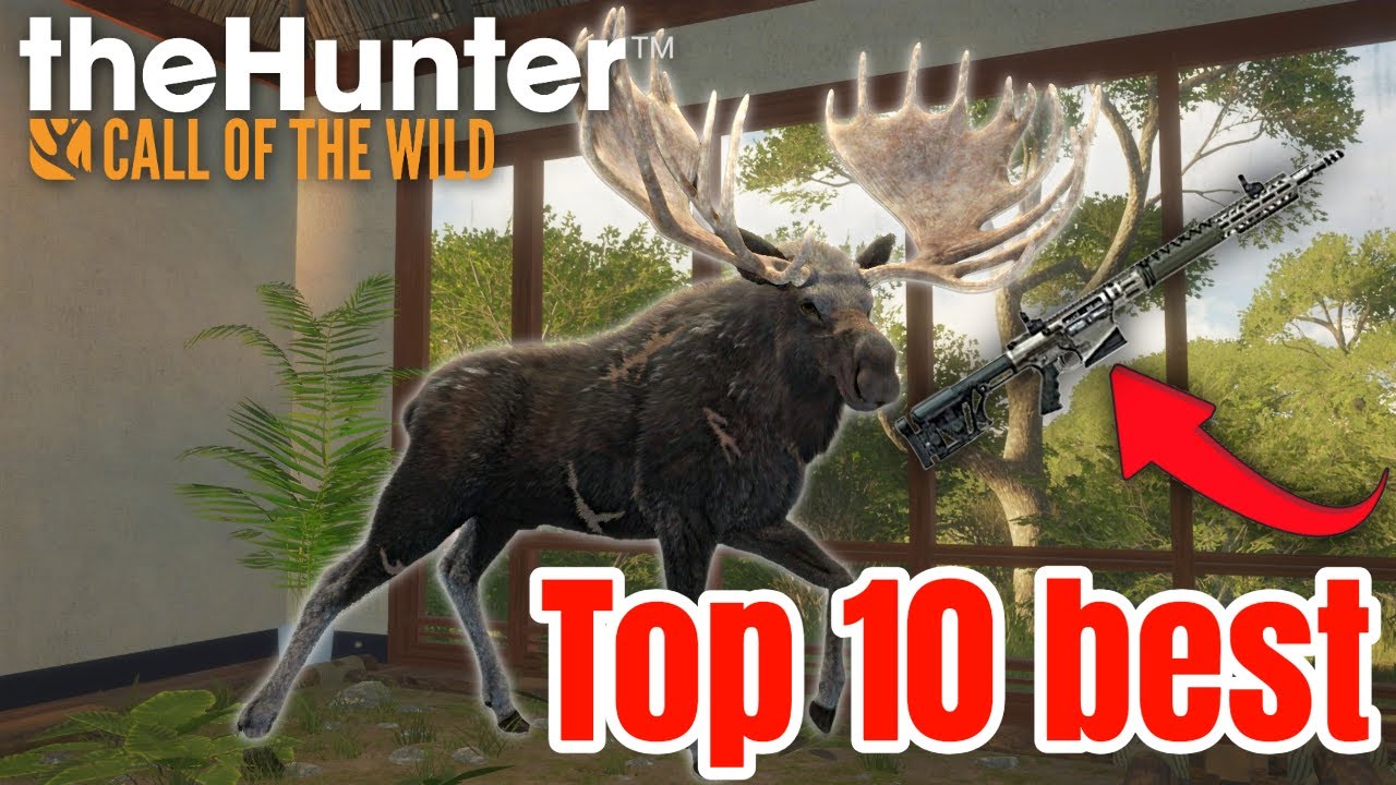 Топ-10 ЛУЧШИХ видов оружия в The Hunter: Call of the Wild (Руководство по метаигре 2026 года)