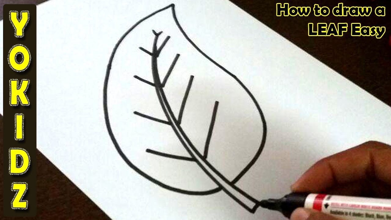 How to draw a LEAF Easy