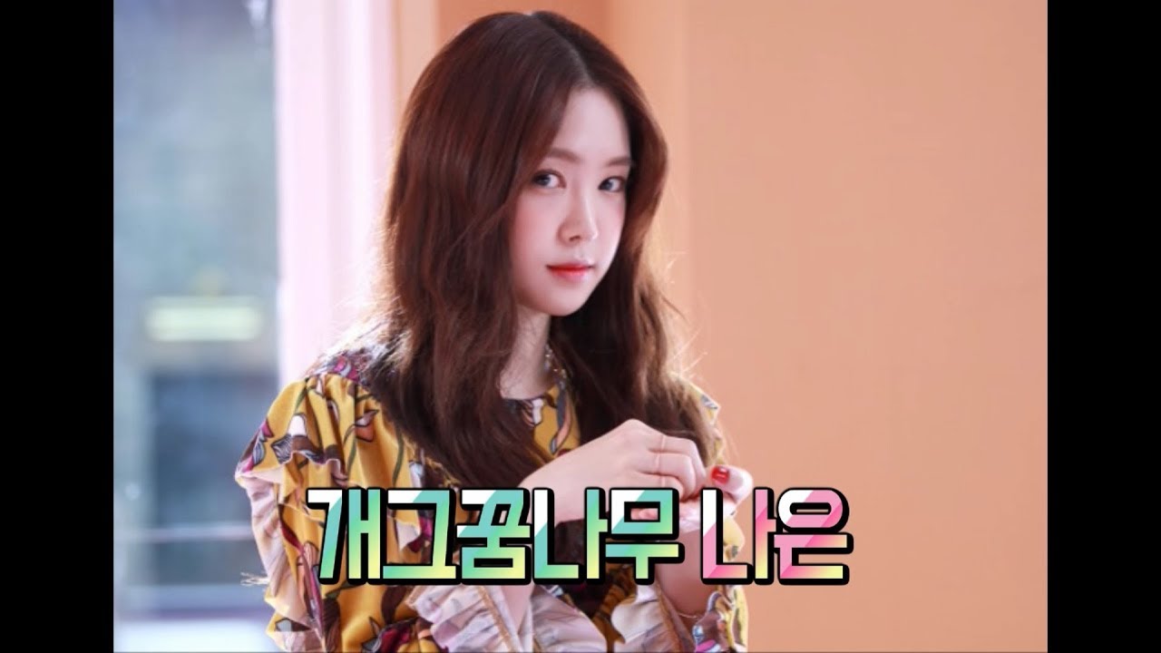 [Apink/에이핑크] 간간이 웃긴, 웃기고 싶은 나은 (Feat. 멤버들의 반응)