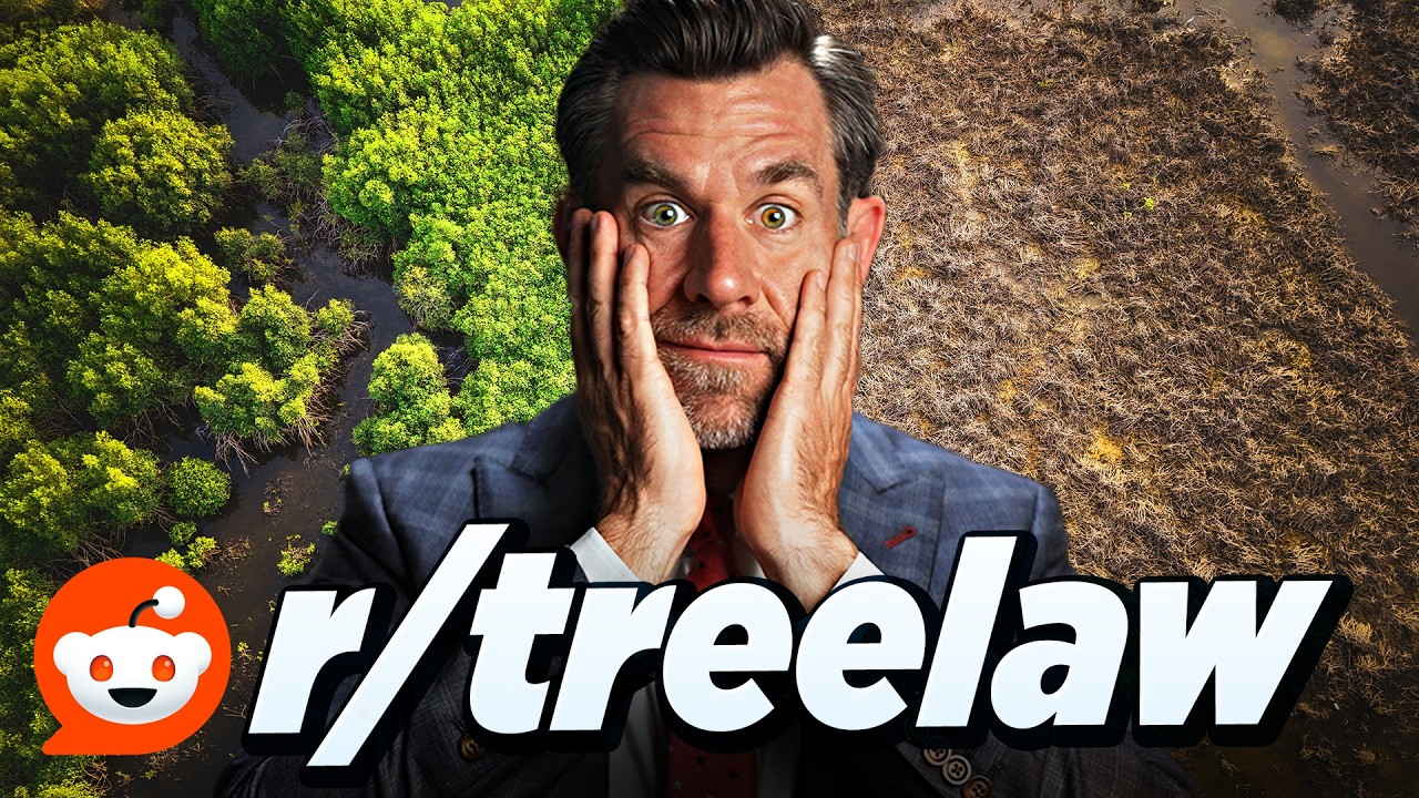Reddit's Tree Lawyers Are Losing Their Minds