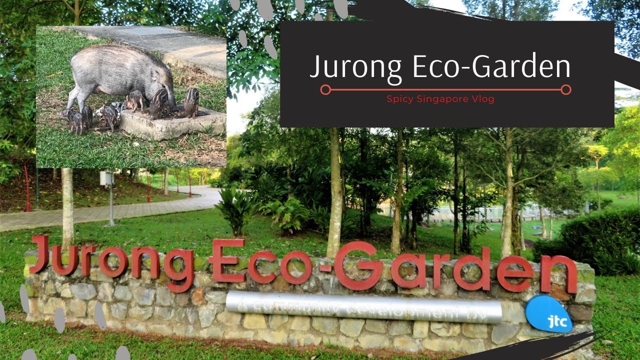 Singapore Hidden Garden | Jurong Eco-Garden