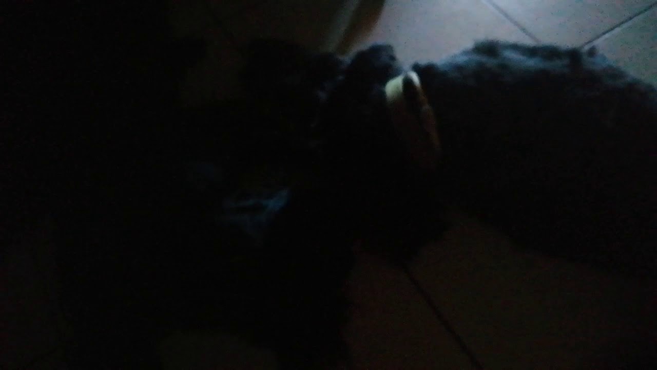 Amore fraterno