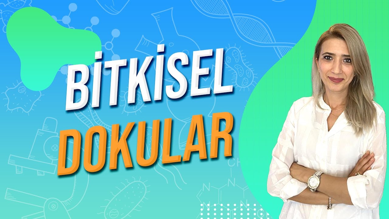 BİTKİSEL DOKULAR | Seda Hoca Biyoloji 🧬