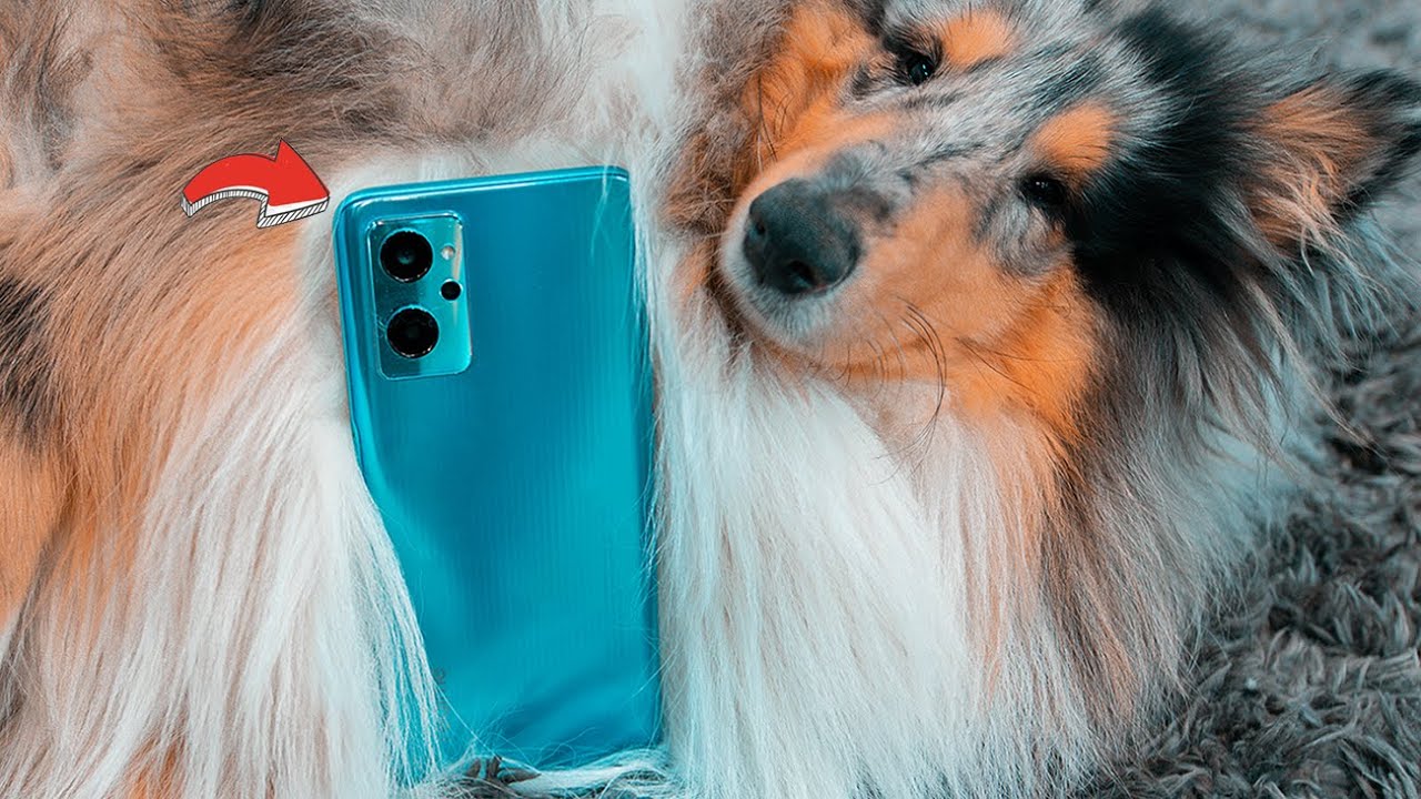 Realme 9i الموبايل دا فيه ميزة نادرة جداً في الفئة التوسطة