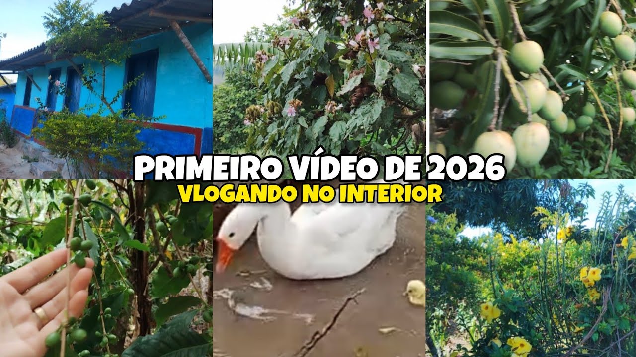 🔴 NO INTERIOR CADA AMANHECER É MAIS LINDO QUE O OUTRO/ DIAS INESQUECÍVEIS NA CASA DE MÃEZINHA.