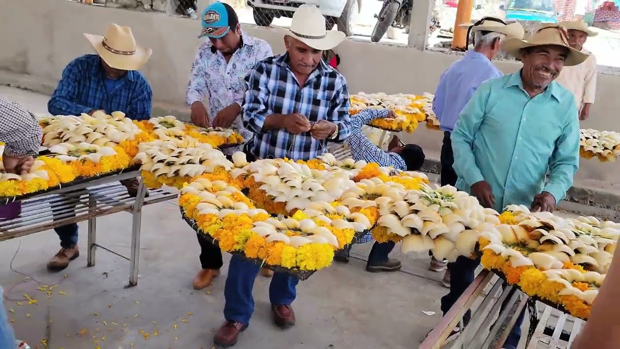 Zacuapa ,Gro. Enero 2024 Virgen de la piedrita