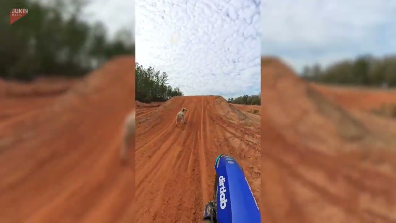 Poodle Takes Flight After Jumping Dirt Track Ramp Beside Dirtbike Rider - 1790620