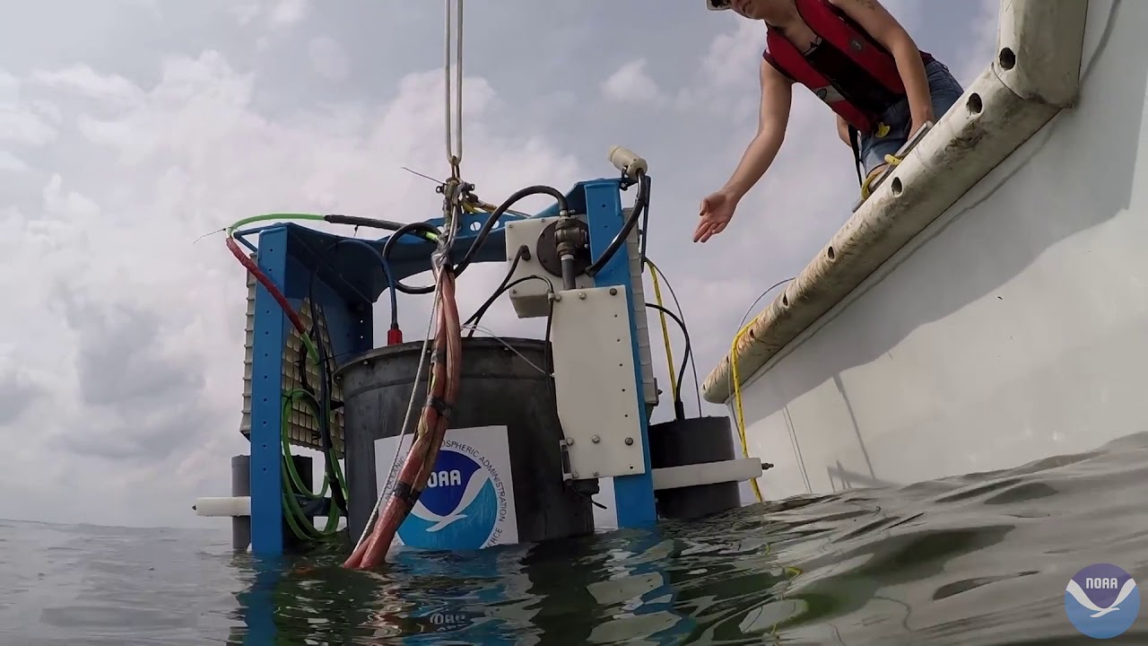 Sensor Measures Toxicity of Lake Erie Algal Bloom in Near Real-Time