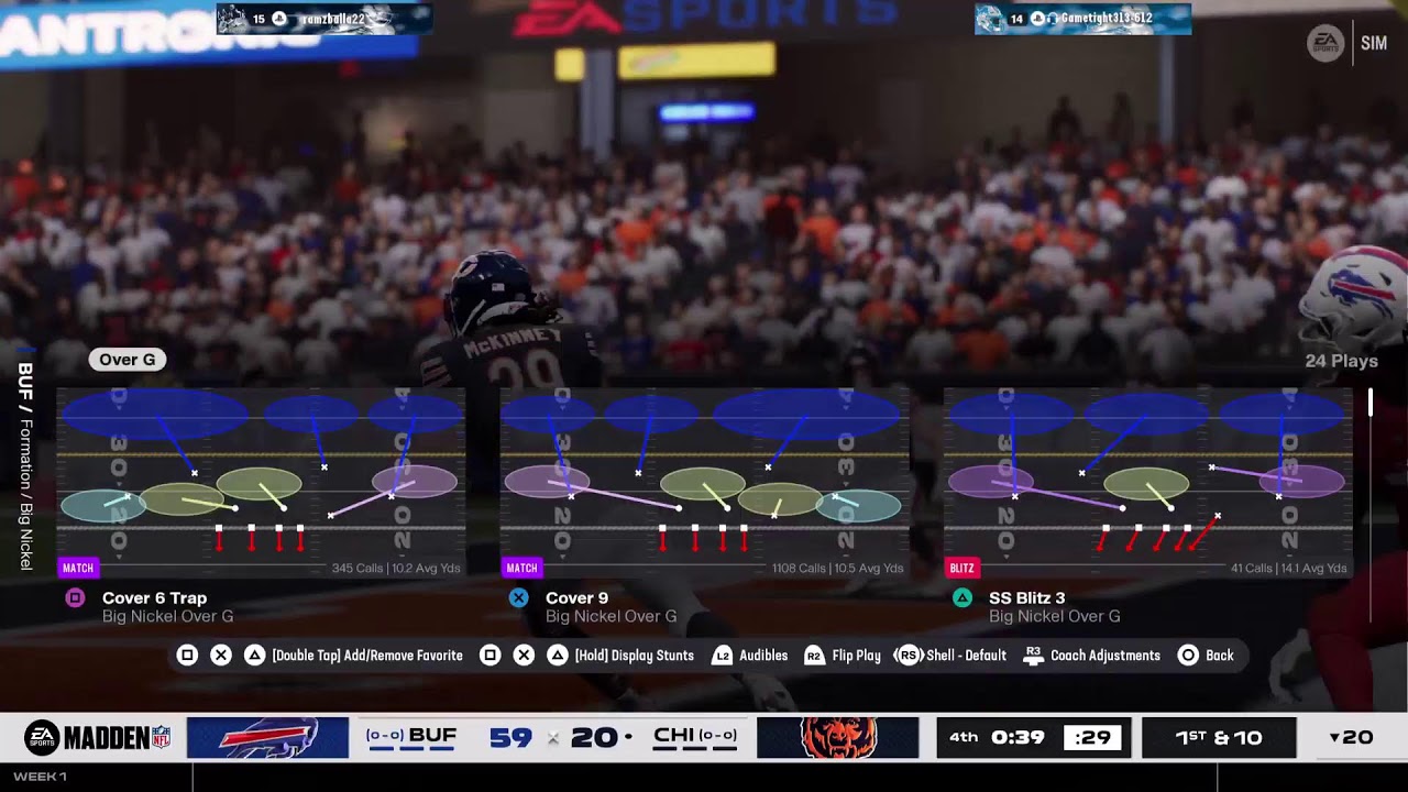 Bills Bears