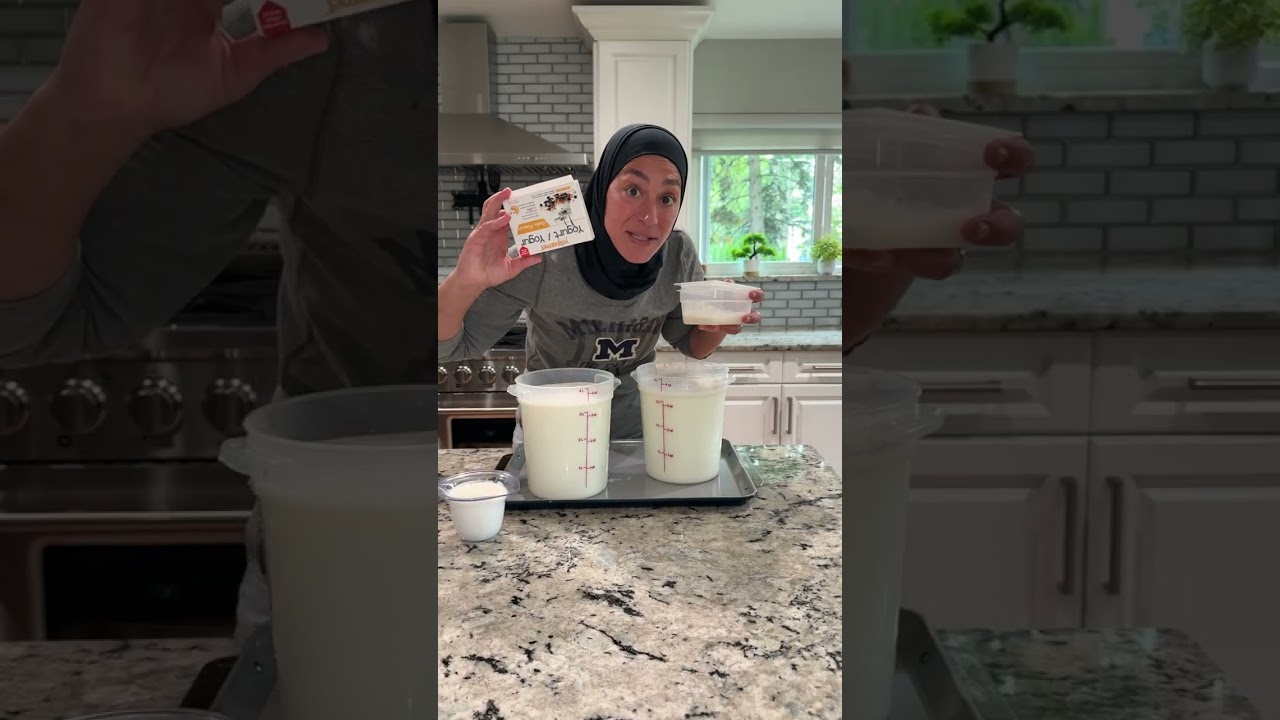 Homemade Lebanese yogurt recipe