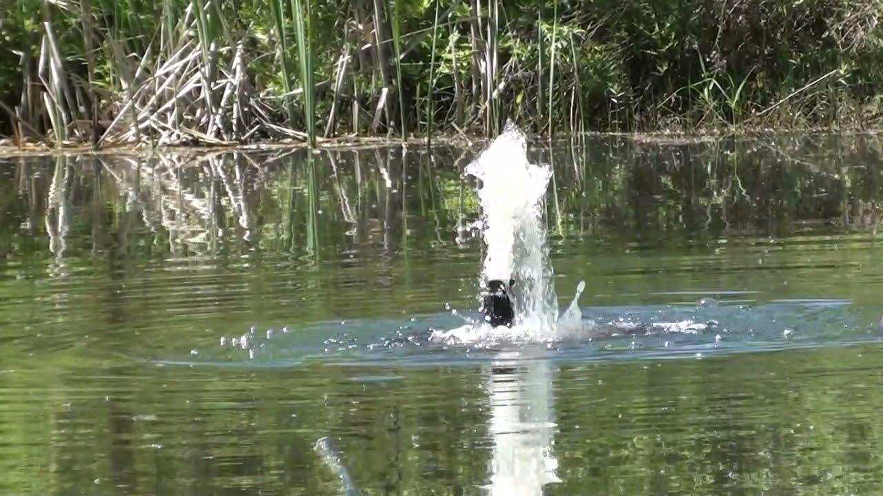 How to make a Pond Fountain Water Aeration