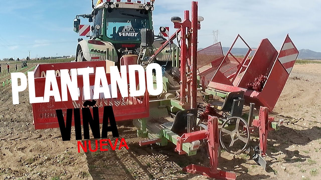PLANTANDO VIÑA NUEVA