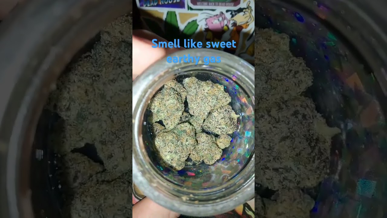 Lit farms Pluto 85 #reels #shorts #trending #viralvideo #clips #weedchannel #foryou