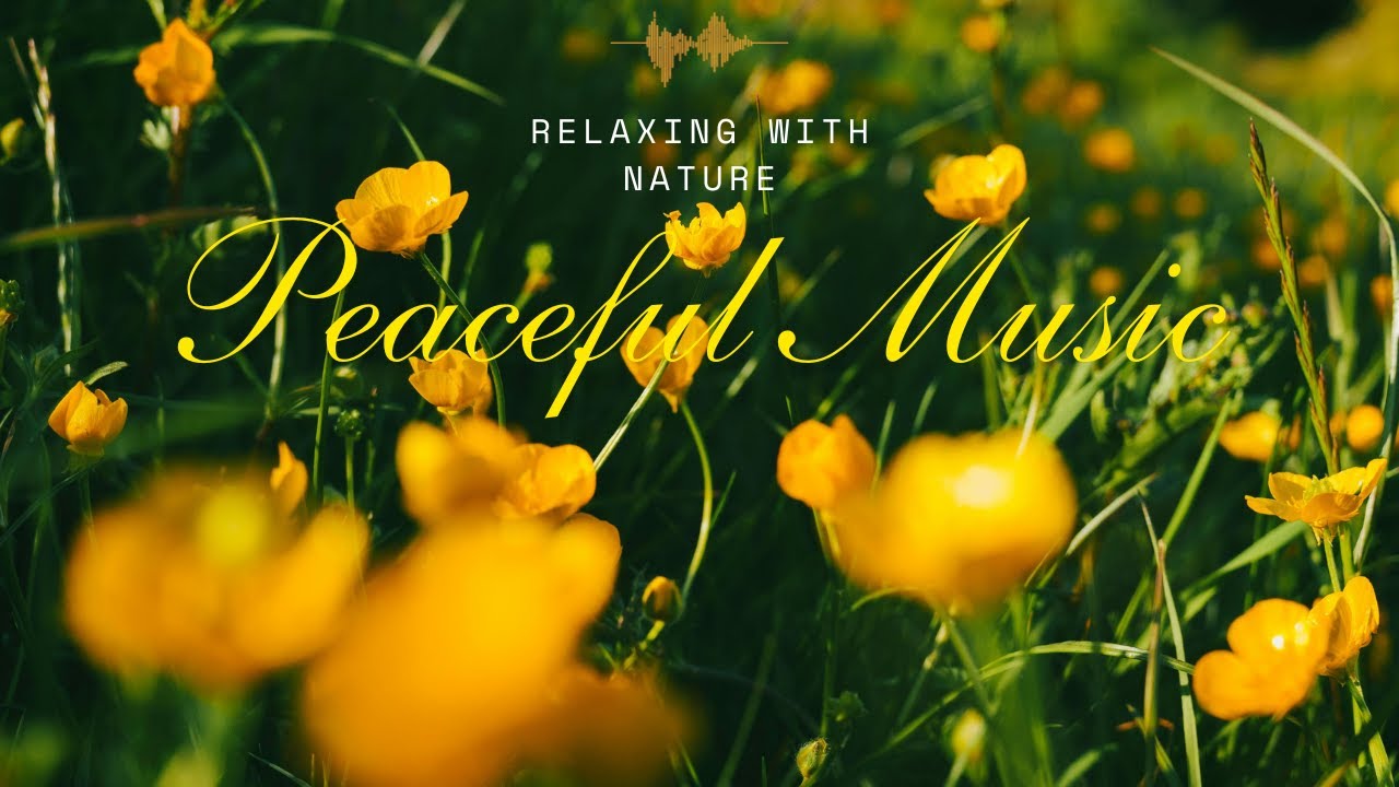 Peaceful Flower Fields 🌸 Relaxing Nature Music for Stress Relief & Mindfulness l #01