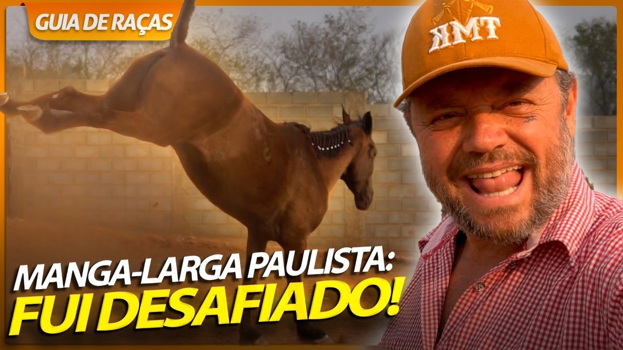 DESAFIO: MONTAR O MANGALARGA PAULISTA | RICHARD RASMUSSEN