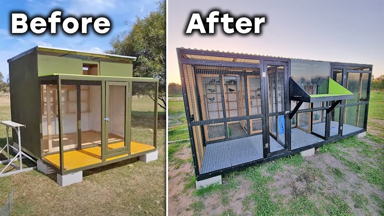 Racing Pigeon Loft Tour  ( So Far )