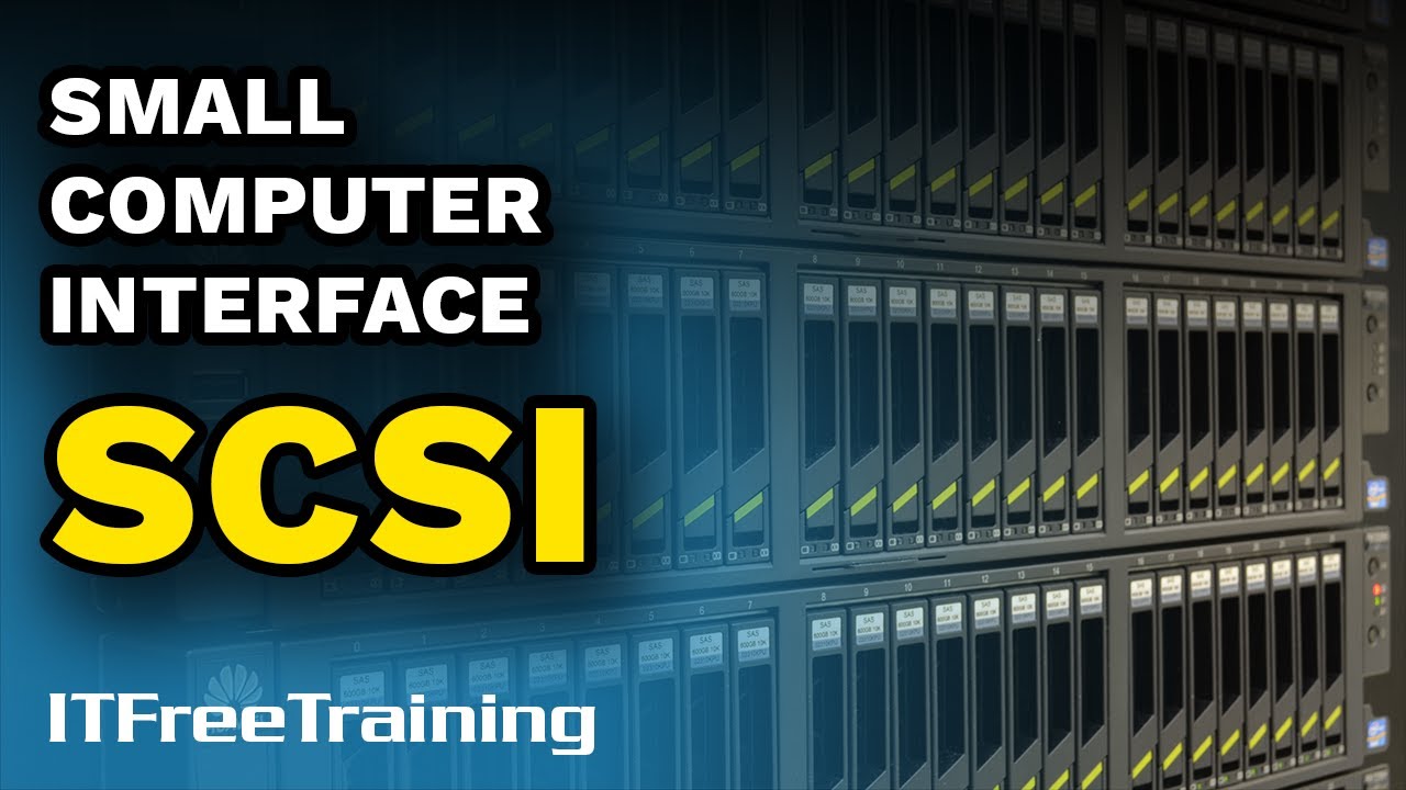 Интерфейс малого компьютера (SCSI) - CompTIA A+ 220-1101 – 1.22