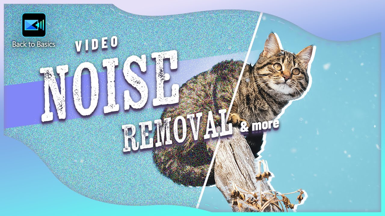 Enhance Video: Stabilize & Remove Noise | PowerDirector Tutorial for Video Editing Basics