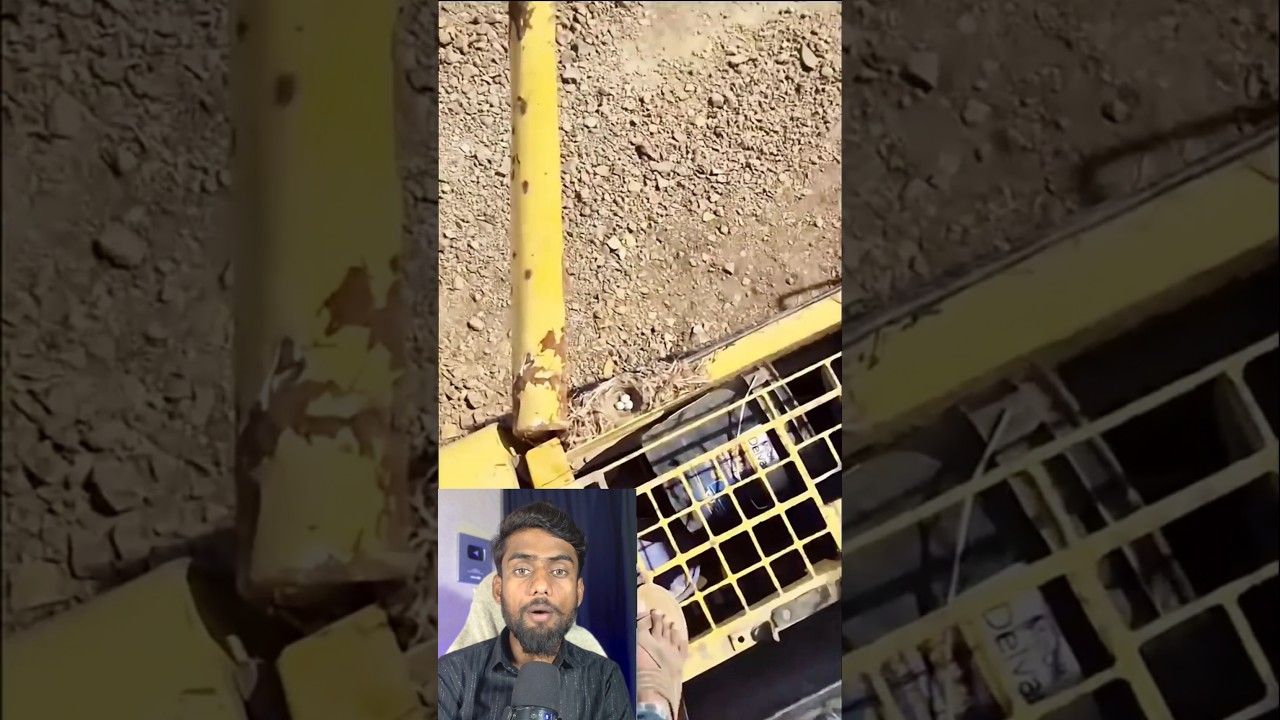 Maalik Ne Chidiya Ke Liye Kam Rok Diya! ❤️ #trending #news