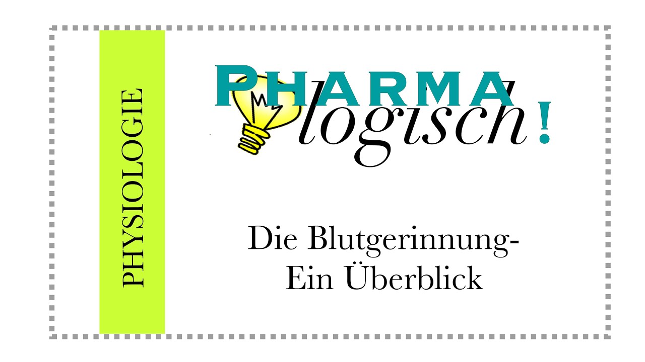 Die Blutgerinnung - ein Überblick