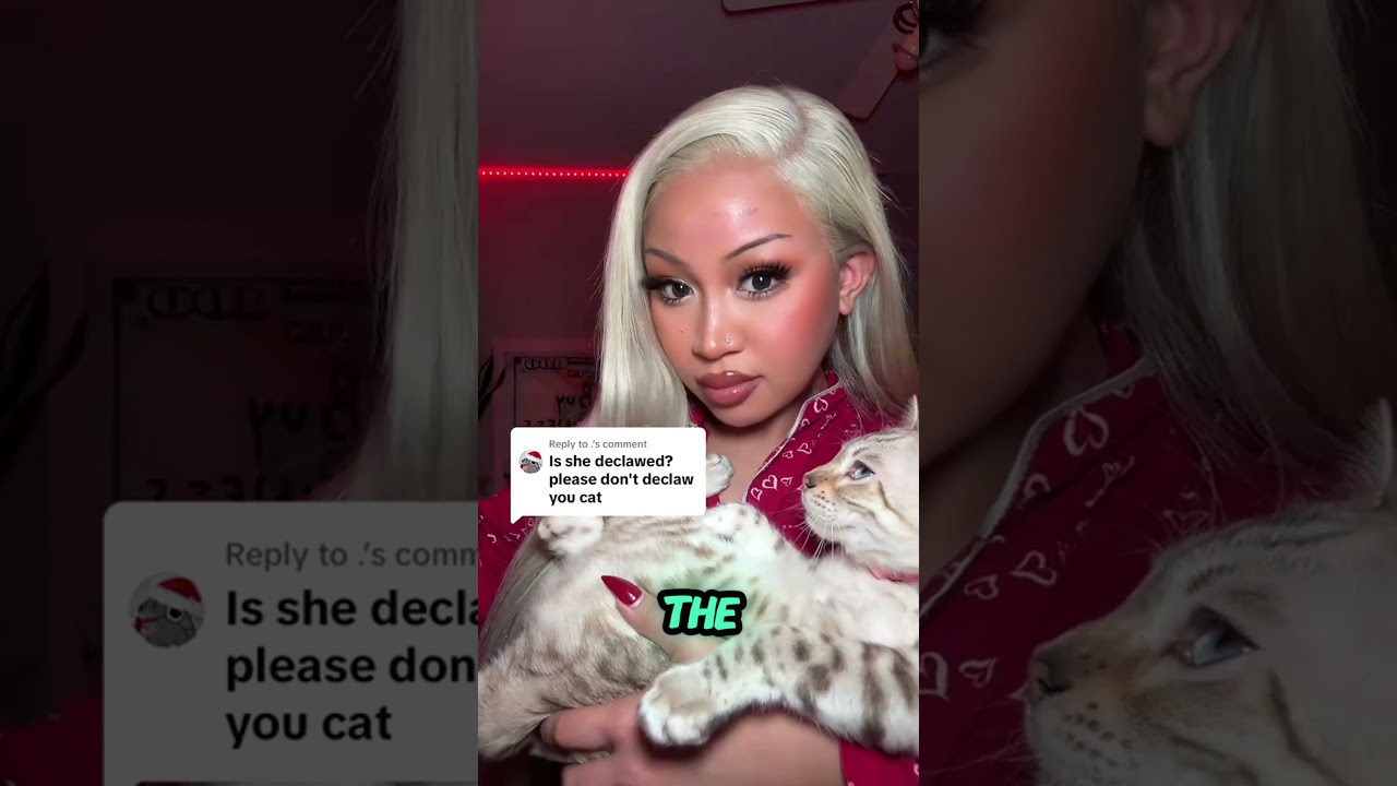 Got My Cat Declawed? This Scratch Says It All 😼🔥