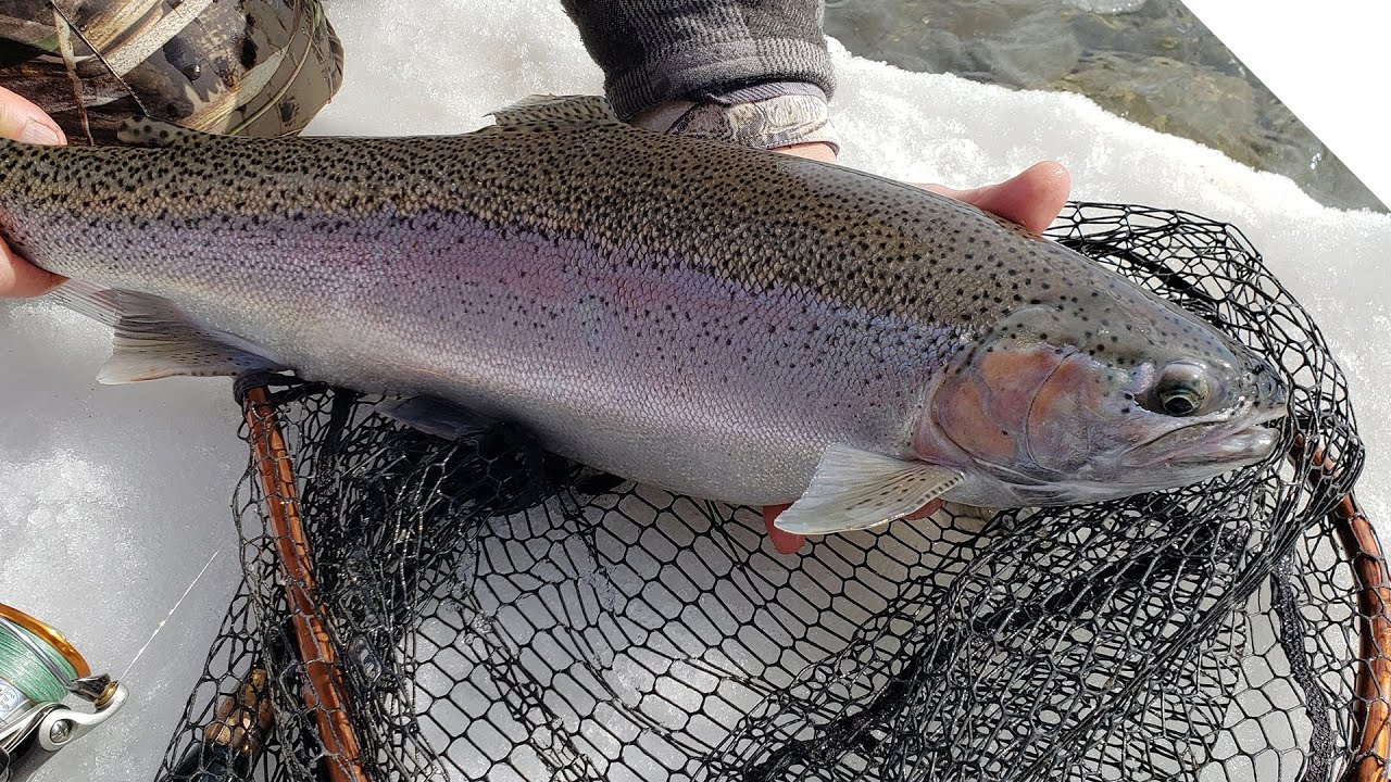 Winter Steelhead - bead bouncing